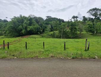 PUNTARENAS PARRITA RENTO CASA EN  FINCA DE 489.777 m2