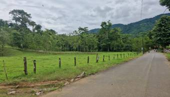 PUNTARENAS PARRITA RENTO CASA EN FINCA DE 489.777 m2