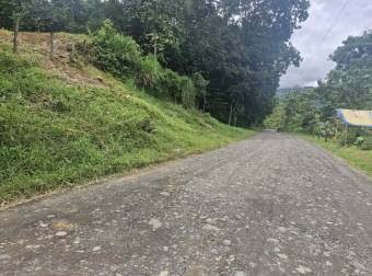 PUNTARENAS PARRITA RENTO CASA EN  FINCA DE 489.777 m2