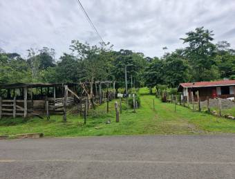 PUNTARENAS PARRITA RENTO CASA EN  FINCA DE 489.777 m2