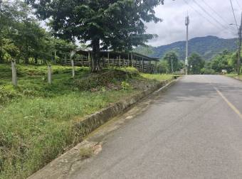 PUNTARENAS PARRITA RENTO CASA EN  FINCA DE 489.777 m2