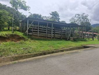 PUNTARENAS PARRITA RENTO CASA EN  FINCA DE 489.777 m2