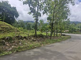 PUNTARENAS PARRITA RENTO CASA EN  FINCA DE 489.777 m2