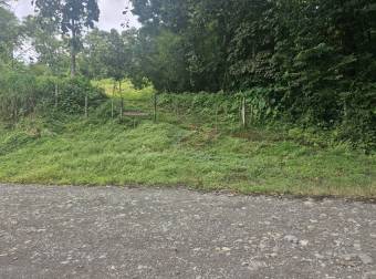 PUNTARENAS PARRITA RENTO CASA EN  FINCA DE 489.777 m2