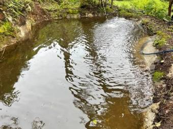 MLS-26-212 LS VENTA FINCA COPEY DOTA MLS-26-212 LS VENTA FINCA COPEY DOTA