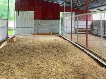 MLS-26-212 LS VENTA FINCA COPEY DOTA MLS-26-212 LS VENTA FINCA COPEY DOTA