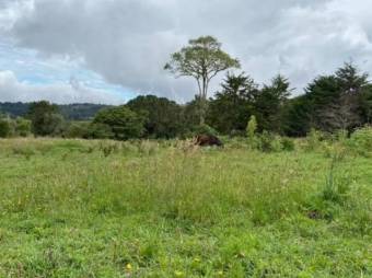 MLS-26-212 LS VENTA FINCA COPEY DOTA MLS-26-212 LS VENTA FINCA COPEY DOTA