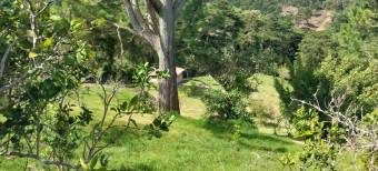 Beautiful farm with views, San Isidro de Heredia 5.5 acres