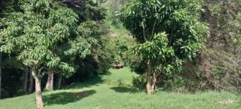 Beautiful farm with views, San Isidro de Heredia 5.5 acres