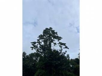 VENTA DE QUINTAS ECOLÓGICAS, LIMÓN, SUERRE, POCOCÍ 