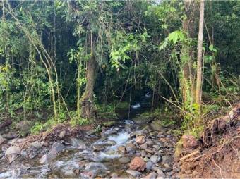 VENTA DE QUINTAS ECOLÓGICAS, LIMÓN, SUERRE, POCOCÍ 