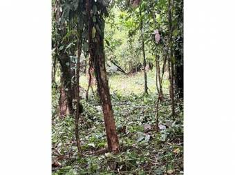 VENTA DE QUINTAS ECOLÓGICAS, LIMÓN, SUERRE, POCOCÍ 