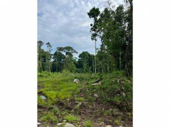 VENTA DE QUINTAS ECOLÓGICAS, LIMÓN, SUERRE, POCOCÍ 