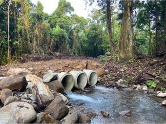VENTA DE QUINTAS ECOLÓGICAS, LIMÓN, SUERRE, POCOCÍ 