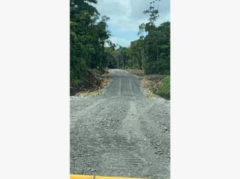 VENTA DE QUINTAS ECOLÓGICAS, LIMÓN, SUERRE, POCOCÍ 