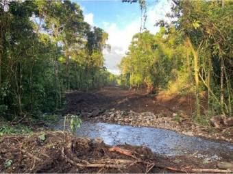 VENTA DE QUINTAS ECOLÓGICAS, LIMÓN, SUERRE, POCOCÍ 