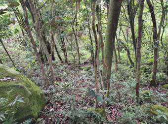 ¡Tú Oasis Privado te Espera en el Campo, San Francisco de San Ramón!