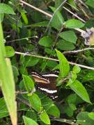 ¡Tú Oasis Privado te Espera en el Campo, San Francisco de San Ramón!