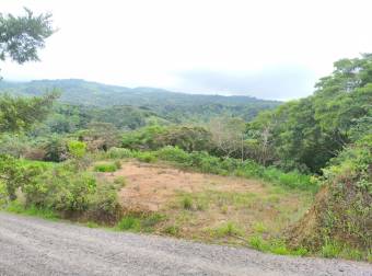 ¡Tú Oasis Privado te Espera en el Campo, San Francisco de San Ramón!