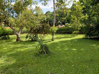 MLS-26-257 LS VENTA LOTE LA CEIBA OROTINA