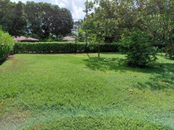 MLS-26-257 LS VENTA LOTE LA CEIBA OROTINA
