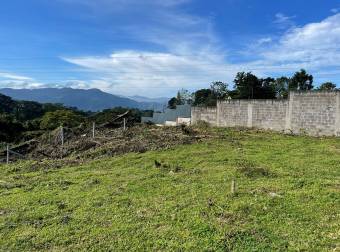 CARTAGO LA UNION SAN RAMON VENDO LOTE $163.020