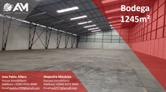 Bodega en Tibas 1245m