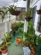 VENTA DE CASA, SAN JOSE, CALLE BLANCOS, URBANIZACIÓN LA CATALINA  