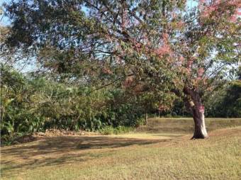 VENTA DE LOTE, GUANACASTE, CARRILLO, CONDOMINIO LOMA VERDE 