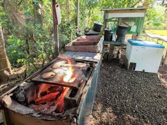 MLS-25-1673 LS VENTA CASA FLORENCIA SAN CARLOS