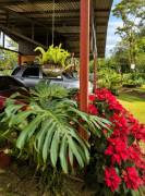 Venta de Casa en Bijagua Centro-Alajuela. Venta de Casa en Bijagua Centro-Alajuela.