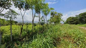 Venta de Lote en Turrialba de Cartago. RAH 27-226 Venta de Lote en Turrialba de Cartago. RAH 27-226