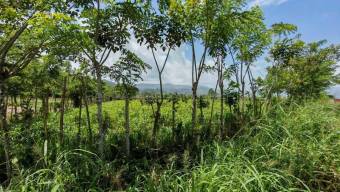 Venta de Lote en Turrialba de Cartago. RAH 27-226 Venta de Lote en Turrialba de Cartago. RAH 27-226