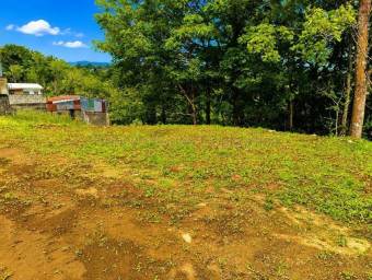 Venta de Lote en Guadalupe-Mata de Plátano. RAH 27-248 Venta de Lote en Guadalupe-Mata de Plátano. RAH 27-248