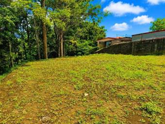 Venta de Lote en Guadalupe-Mata de Plátano. RAH 27-248