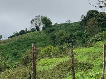 Venta de Lote en Vásquez Coronado-Dulce Nombres. RAH 27-267