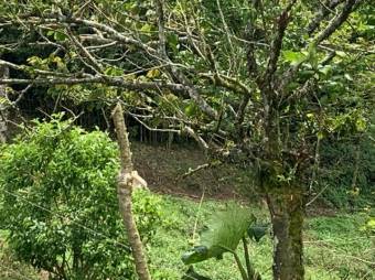 Venta de Lote en Vásquez Coronado-Dulce Nombres. RAH 27-267