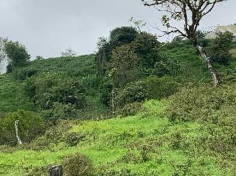 Venta de Lote en Vásquez Coronado-Dulce Nombres. RAH 27-267