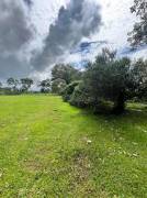 Venta de Lote en San Carlos-La Fortuna, Alajuela. RAH 27-252