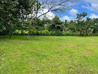 Venta de Lote en San Carlos-La Fortuna, Alajuela. RAH 27-252