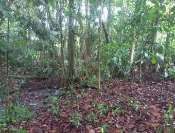 SE VENDE PARA BONO O CRÉDITO LOTE EN SANTA ISABEL DE RÍO CUARTO, ALAJUELA