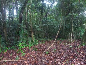 SE VENDE PARA BONO O CRÉDITO LOTE EN SANTA ISABEL DE RÍO CUARTO, ALAJUELA