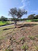 Venta de Lote en Condominio Hacienda Espavel-La Guácima, Alajuela. RAH 27-270 Venta de Lote en Condominio Hacienda Espavel-La Guácima, Alajuela. RAH 27-270