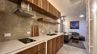 SE VENDE RESIDENCIA DE LUJO AUTOSUFIENTE CON REFUGIO SUBTERRANEO BLINDADO EN PEREZ ZELEDON