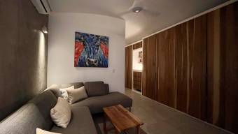 SE VENDE RESIDENCIA DE LUJO AUTOSUFIENTE CON REFUGIO SUBTERRANEO BLINDADO EN PEREZ ZELEDON
