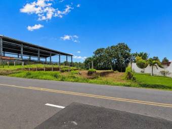 Se vende lote en Mata de Plátano Goicoechea 27-247