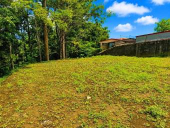 Se vende lote en Mata de Plátano Goicoechea 27-248