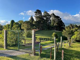 Venta de finca con tres casas y potencial de desarrollo #26-592 GS