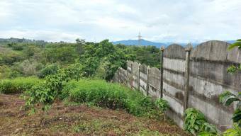 Se vende lote en Mata de Plátano Goicoechea 25-1767