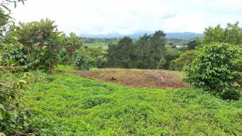 Se vende lote en Mata de Plátano Goicoechea 25-1767